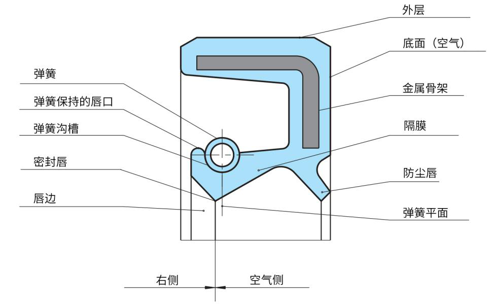 TC油封截面图