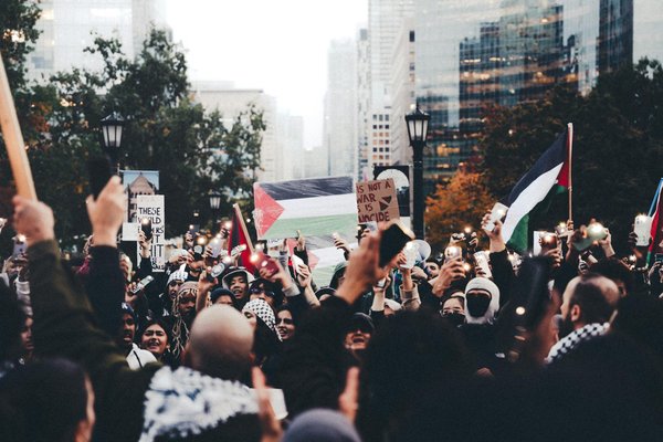 Pulp liquides : des créations élégantes à savourer