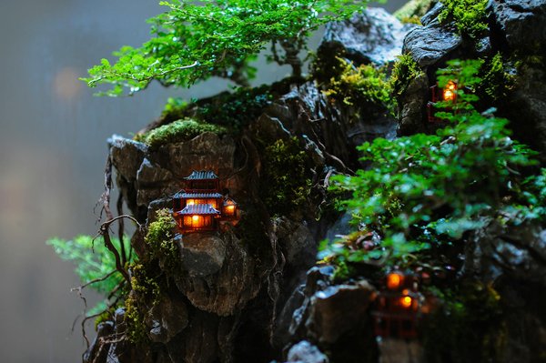 Jardin tendance : styles et design pour un espace moderne